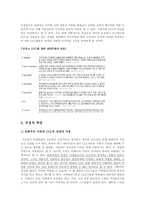 [문화커뮤니케이션] UCC를 통해 알아보는 문화주의 이론-13