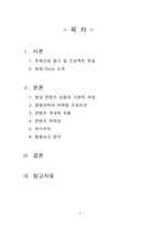 [콘텐츠산업과 정책] 인디영화 `Once` 사례를 통한 영상 콘텐츠 산업 분석-2