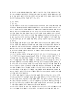 [한국의 유투브 판도라tv의 경영전략] 한국의 유투브 판도라tv의 경영전략-3