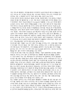 [한국의 유투브 판도라tv의 경영전략] 한국의 유투브 판도라tv의 경영전략-4