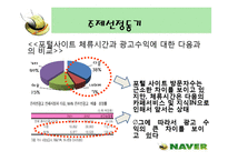 [인터넷마케팅]인터넷포털 ‘네이버(NAVER)’의 마케팅전략 분석(A+리포트)-3