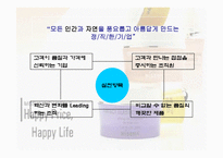 [경영경제학] 미샤인터넷마케팅자료-5