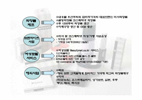 [경영경제학] 미샤인터넷마케팅자료-6