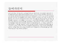 도미노피자(Domono pizza) Brand identity-3