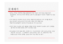도미노피자(Domono pizza) Brand identity-7