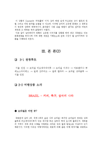 [여행관광상품기획서] 남미3개국 관광 여행상품 기획서-5