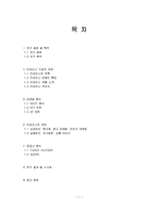 [국제경영] 리바이스 Levi`s 글로벌경영전략에 관한 연구-2