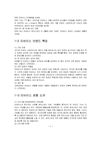 [국제경영] 리바이스 Levi`s 글로벌경영전략에 관한 연구-5