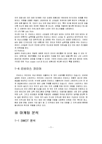 [국제경영] 리바이스 Levi`s 글로벌경영전략에 관한 연구-6