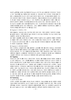 [국제경영] 리바이스 Levi`s 글로벌경영전략에 관한 연구-11
