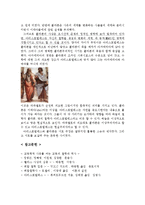 [교육철학] 플라톤과 아리스토텔레스 대하여-8