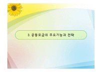 [지역사회복지론] 사회복지공동모금회-20