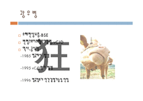 광우병 레포트-4