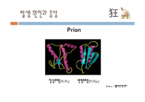 광우병 레포트-5