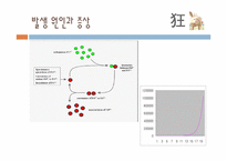 광우병 레포트-6