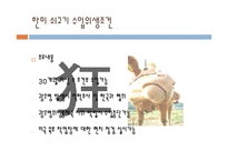 광우병 레포트-9