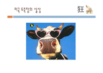 광우병 레포트-11
