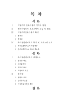 [방송] 한국리얼리티 프로그램 `우리결혼했어요` 흥행요소 및 문제점-2
