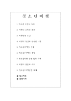 청소년 비행 레포트-1