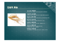 [인삼 마케팅] 인삼제품의 해외진출-17