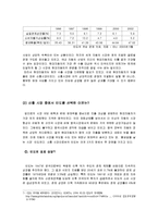 [국제지역학] 현대자동차의 인도 시장 진출-7