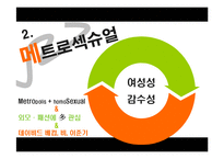 메트로 섹슈얼 레포트-3