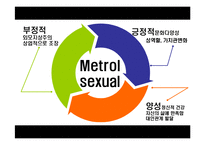 메트로 섹슈얼 레포트-13