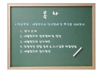 [유럽정치] 네덜란드 정치형태 및 특징-2