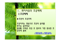 [동양사상] 동아시아 문화권의 국제질서와 교역로-5