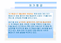 [경영과의사결정] [경영과의사결정]저가항공산업 및 제주항공 경영전략 분석(A+리포트)-11