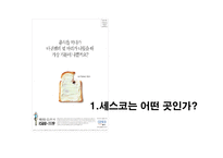 [경영학원론] [경영학원론]경영혁신 사례조사-`세스코` 경영전략 분석(A+리포트)-4
