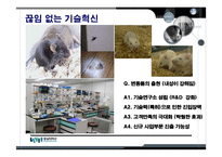 [경영학원론] [경영학원론]경영혁신 사례조사-`세스코` 경영전략 분석(A+리포트)-18