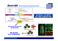 [융합기술] Nano-biosensor-10