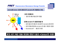[융합기술] Nano-biosensor-11