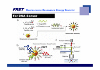 [융합기술] Nano-biosensor-12