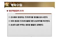 [소재공학] 항산화 기능성 화장품-6