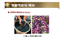 [소재공학] 항산화 기능성 화장품-7