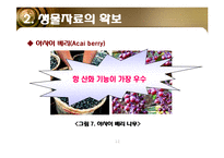 [소재공학] 항산화 기능성 화장품-12