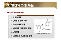 [소재공학] 항산화 기능성 화장품-13