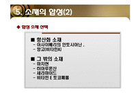 [소재공학] 항산화 기능성 화장품-19