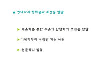 [근대유럽형성] 정화와 중국함대의 아메리카 발견-7