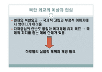 북한의 외교정책-12