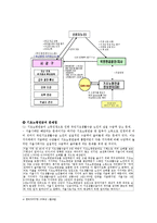 [정책학] 기초노령연금에 대한 정책의제설정과정-15