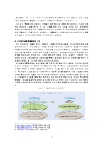 [공공재정] 국가균형발전특별회계 장점과 문제점, 한계-2