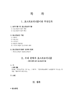[한국어문학] 포스트모더니즘과 한국문학-2