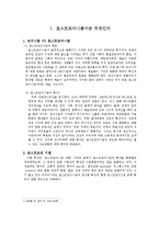 [한국어문학] 포스트모더니즘과 한국문학-3