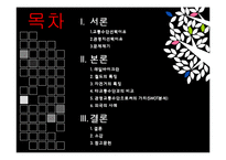 [관광교통] 정선 레일바이크(Railbike) 관광교통수단으로써의 가치-2