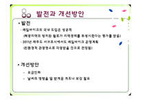 [관광교통] 정선 레일바이크(Railbike) 관광교통수단으로써의 가치-15