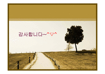 [유통정보] 백화점별 CRM(현대, 롯데, 신세계)-17