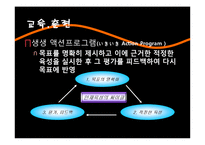 [국제인적자원관리] 도요타 인사관리-14
